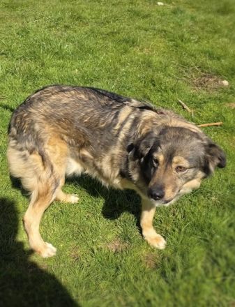 Warum will mich denn keiner ?