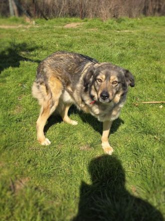 Warum will mich denn keiner ?