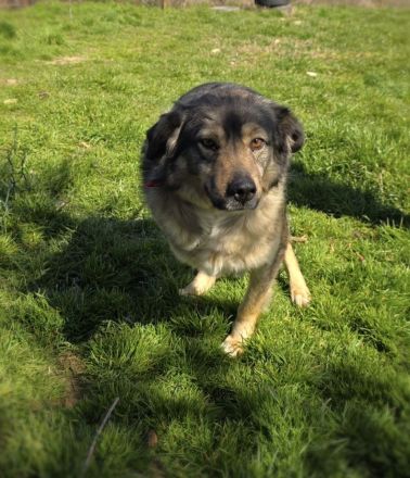 Warum will mich denn keiner ?