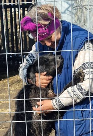 Marvin, ruhig, gelassen, 7 Jahre, möchte geliebt werden und ankommen dürfen