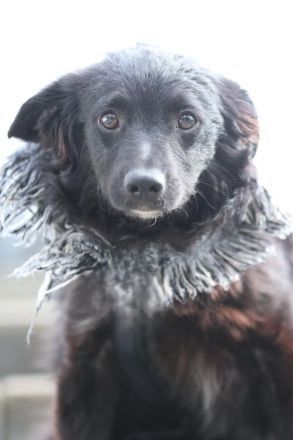 Ace such seine Herzensmenschen...