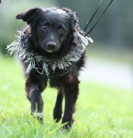 Ace such seine Herzensmenschen...