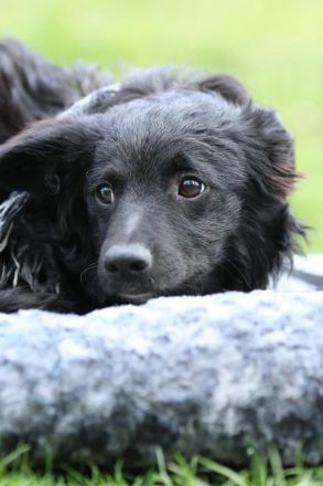 Ace such seine Herzensmenschen...