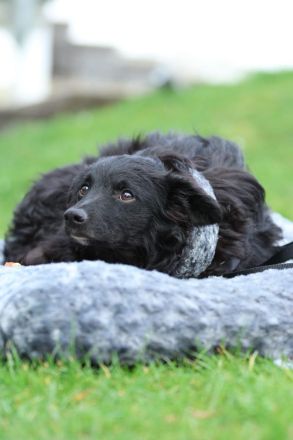 Ace such seine Herzensmenschen...