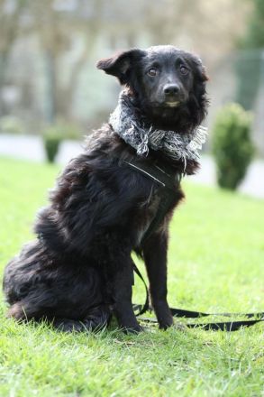 Ace such seine Herzensmenschen...