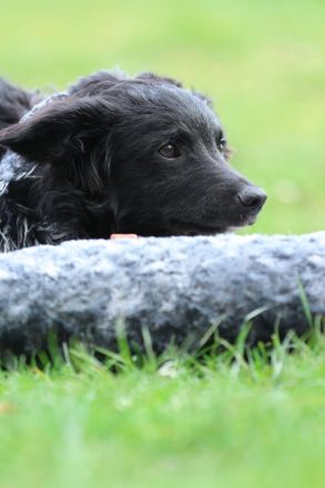 Ace such seine Herzensmenschen...