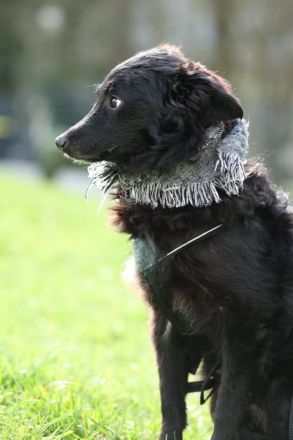 Ace such seine Herzensmenschen...