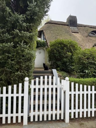 Schwarzer EKH-Kater (3,5 Jahre, Freigänger) sucht liebesvolles Zuhause