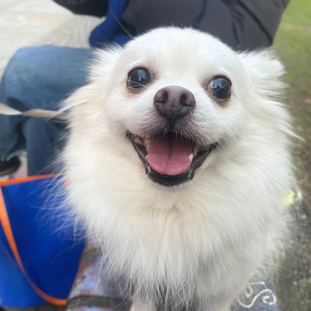 Mia in 10243 Berlin sucht ihr Für-immer-Zuhause