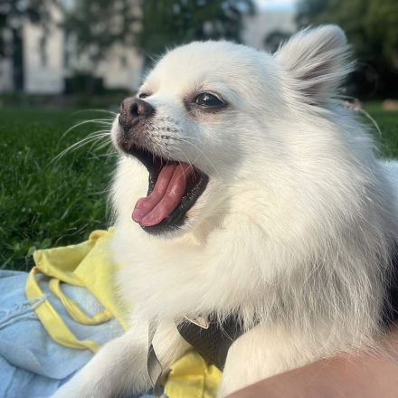 Mia in 10243 Berlin sucht ihr Für-immer-Zuhause