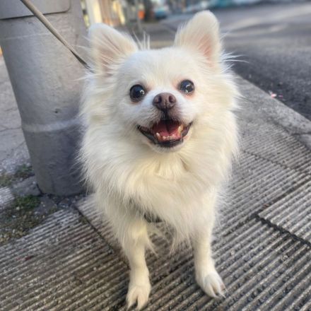 Mia in 10243 Berlin sucht ihr Für-immer-Zuhause