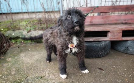 Carl hofft auf sein Ticket ins Glück