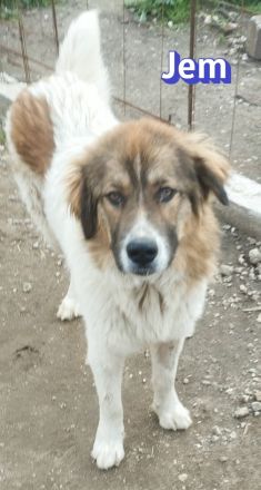 Jem, 02/25 - Wenn die Straße gnadenlos ist....