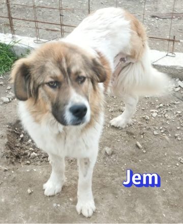 Jem, 02/25 - Wenn die Straße gnadenlos ist....