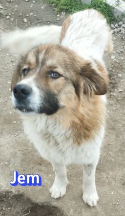 Jem, 02/25 - Wenn die Straße gnadenlos ist....