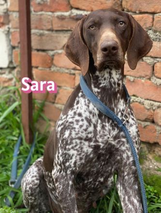 Sara, 10/24 - aktives Mädel sucht Familie