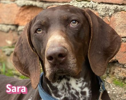 Sara, 10/24 - aktives Mädel sucht Familie