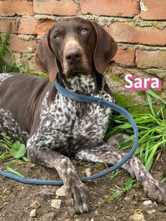 Sara, 10/24 - aktives Mädel sucht Familie