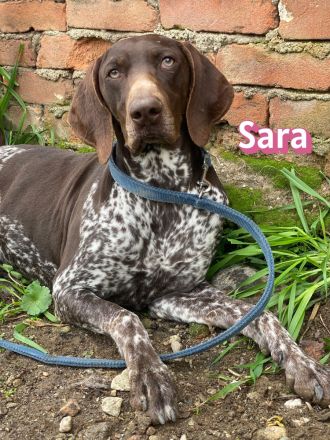 Sara, 10/24 - aktives Mädel sucht Familie