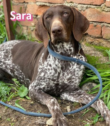 Sara, 10/24 - aktives Mädel sucht Familie