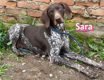 Sara, 10/24 - aktives Mädel sucht Familie