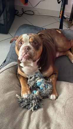 Vom Örmser Bahnhof Züchter