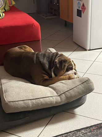 Vom Örmser Bahnhof Züchter