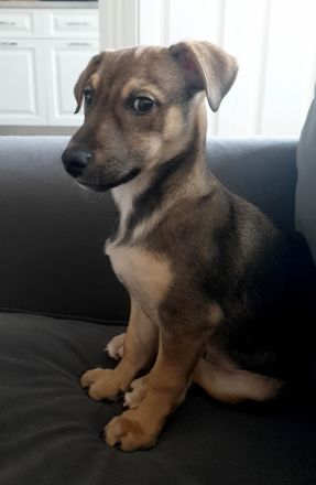 Burita sucht die Nähe zum Menschen