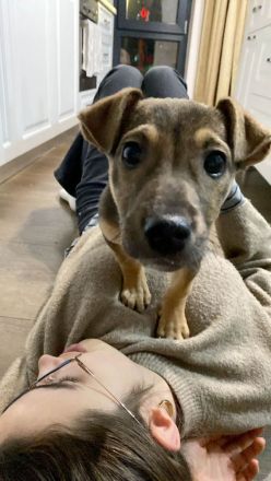 Burita sucht die Nähe zum Menschen