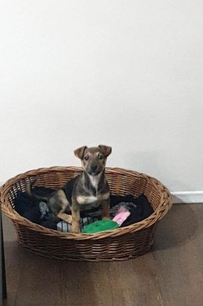 Burita sucht die Nähe zum Menschen