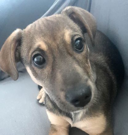 Burita sucht die Nähe zum Menschen