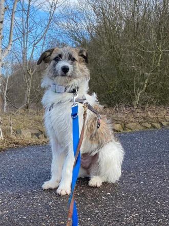 Marielu, jung, freundlich, ein kleines Juwel......sucht engagierte Menschen