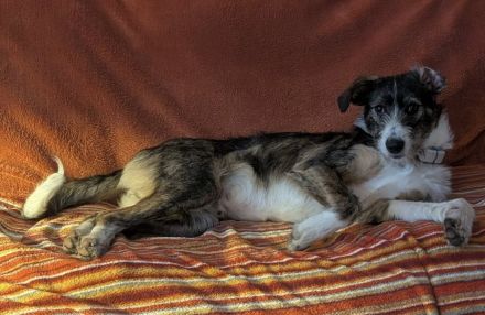 Marielu, jung, freundlich, ein kleines Juwel......sucht engagierte Menschen