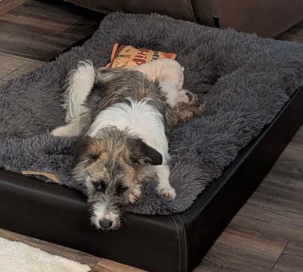 Marielu, jung, freundlich, ein kleines Juwel......sucht engagierte Menschen