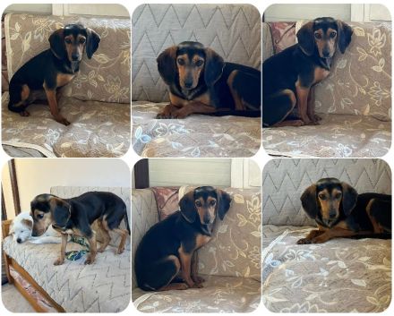 Gundi – vorsichtig und zurückhaltend