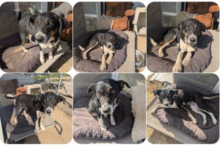 Ella – charmante Persönlichkeit mit Herz