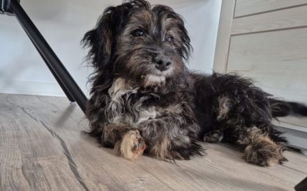 Jona ist bereit für viele Abenteuer