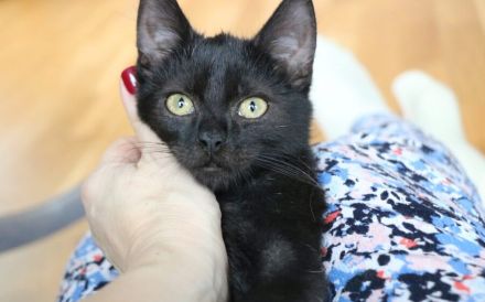 Emrys & Kyren: 2x Glück, 1x Familie gesucht!