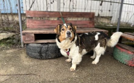 Tyra: Klein und neugierig, aber auch mit großem Herz!