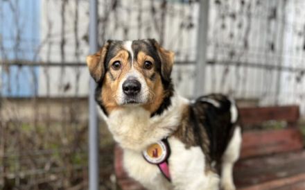 Tyra: Klein und neugierig, aber auch mit großem Herz!