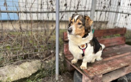 Tyra: Klein und neugierig, aber auch mit großem Herz!