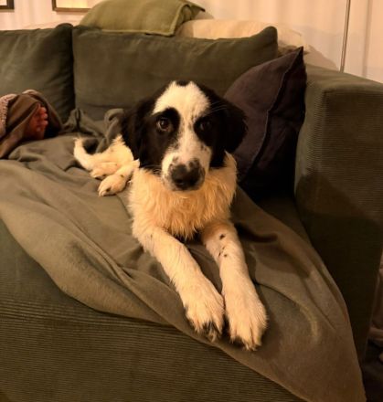 Mali sucht seine Menschen...