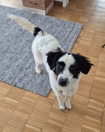 Mali sucht seine Menschen...