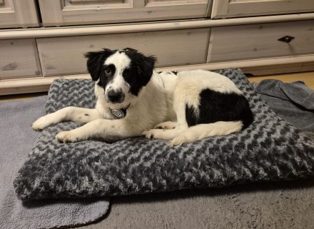 Mali sucht seine Menschen...