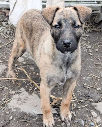 YUKI - süß, sanft, freundlich