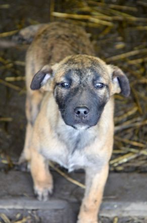 YUKI - süß, sanft, freundlich