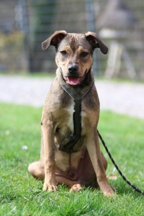 Mel möchte mit Dir die Welt entdecken.