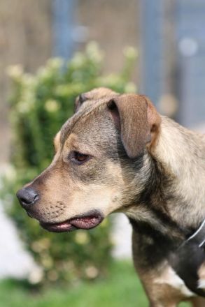 Mel möchte mit Dir die Welt entdecken.