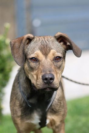 Mel möchte mit Dir die Welt entdecken.