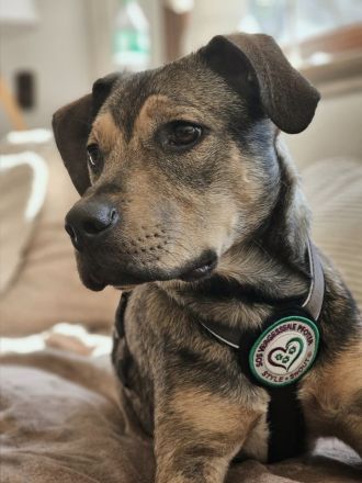 Mel möchte mit Dir die Welt entdecken.